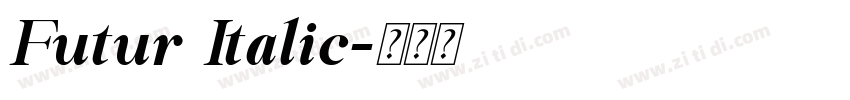 Futur Italic字体转换 Futur Italic字体转换